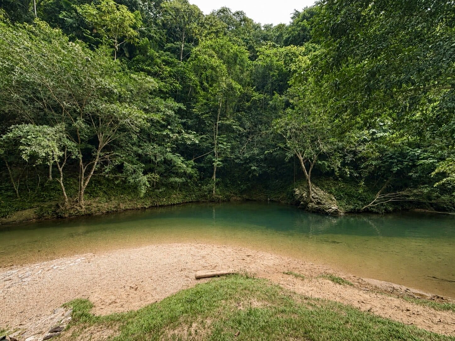 Río rodeado de vegetación cerca de La Herencia Doradal